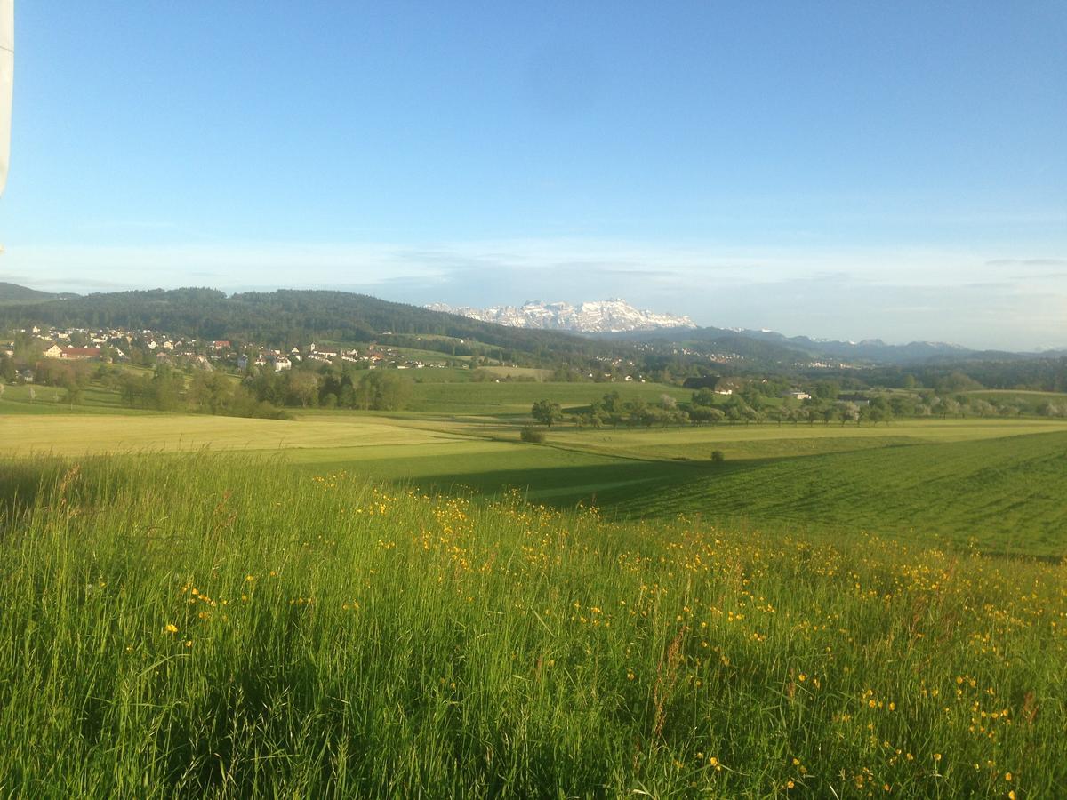 Hotel Garni Roessli Wittenbach ภายนอก รูปภาพ
